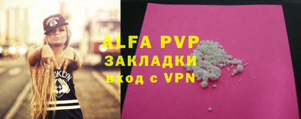 apvp Вяземский