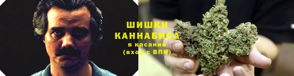 spice Вязники