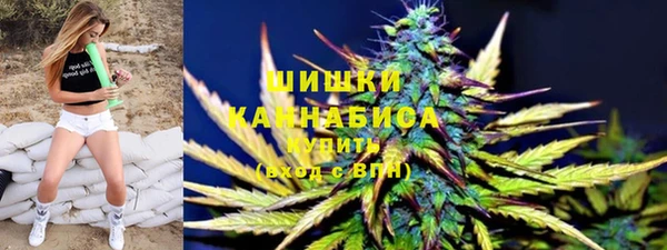 дживик Медвежьегорск